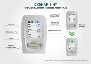 СКЭНАР-1-НТ (исполнение 01)  в Муроме купить Медицинская техника - denasosteo.ru 